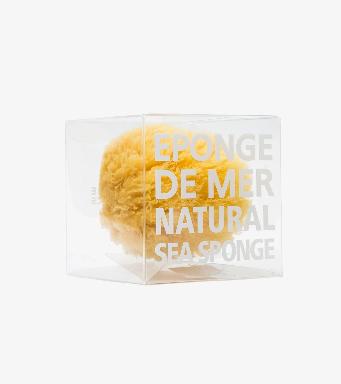 Natural Sea Sponge - Image 3
